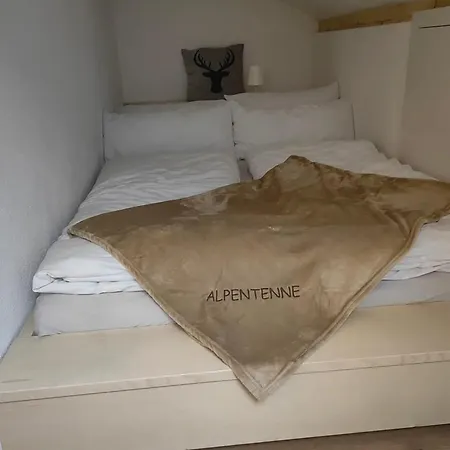 Kuschelnest - Haus Alpentenne, Apartamento