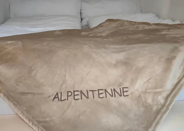Kuschelnest - Haus Alpentenne, * פפרונטן